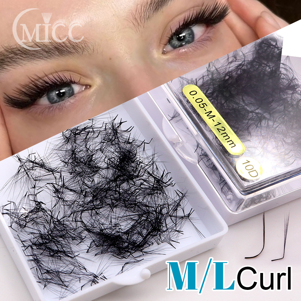 500 Fans 6D 6mm 10D M L Specia - Eyelash Extension Fox Eye recension och pris
